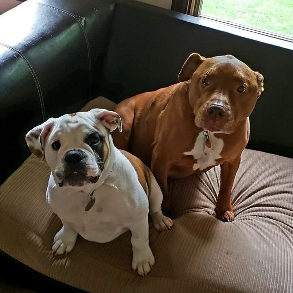 Meet your Posher, Lisa - Picture 1 of 1